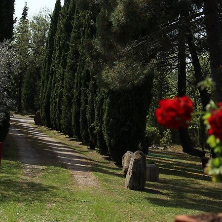L'Antica Pala Villa Bucine Exterior photo